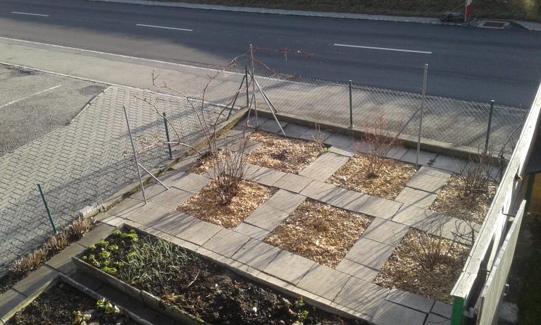 Beerengarten