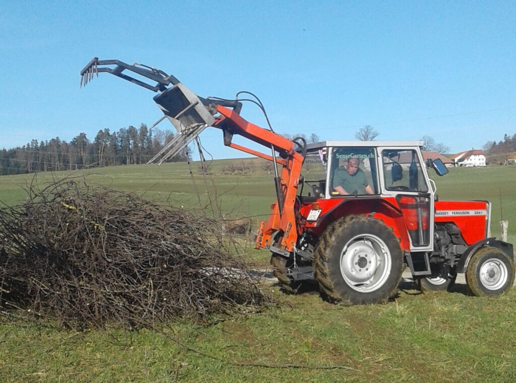 Traktor mit Hecklader
